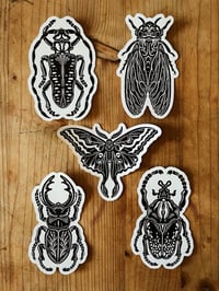 Image 2 of Insect Sticker Pack