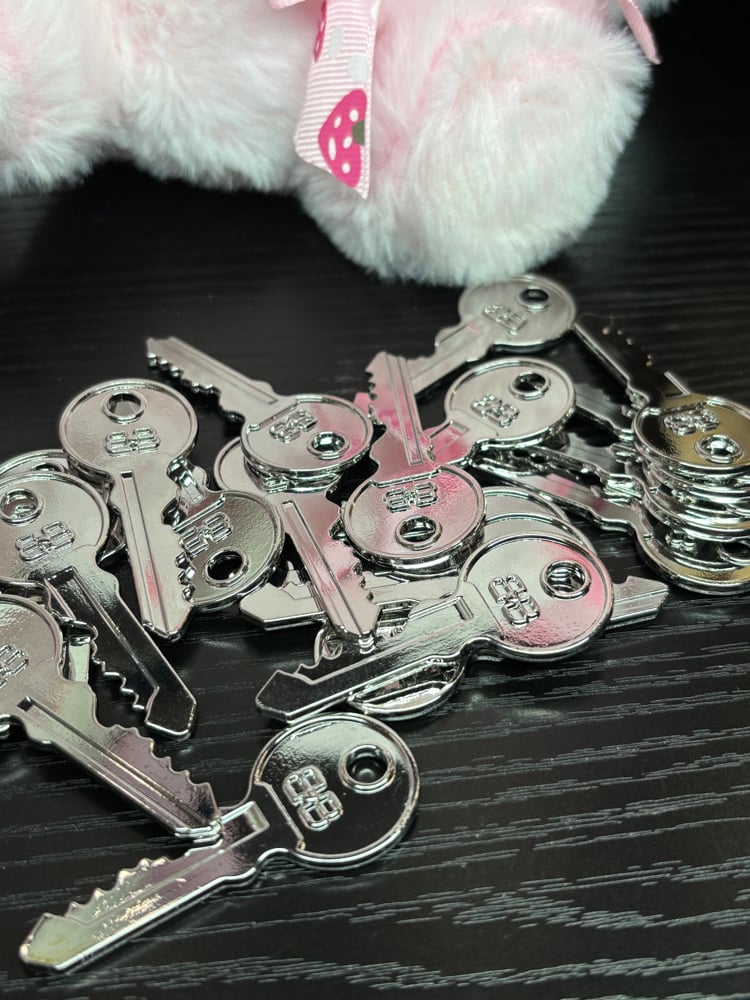 Image of BB keyz