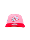 Jalisco “Flamingo”