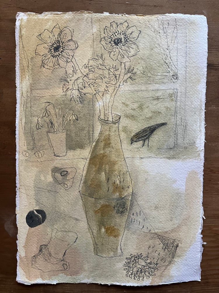 Image of Windowsill anemones 