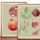 Image 1 of Fruit Prints