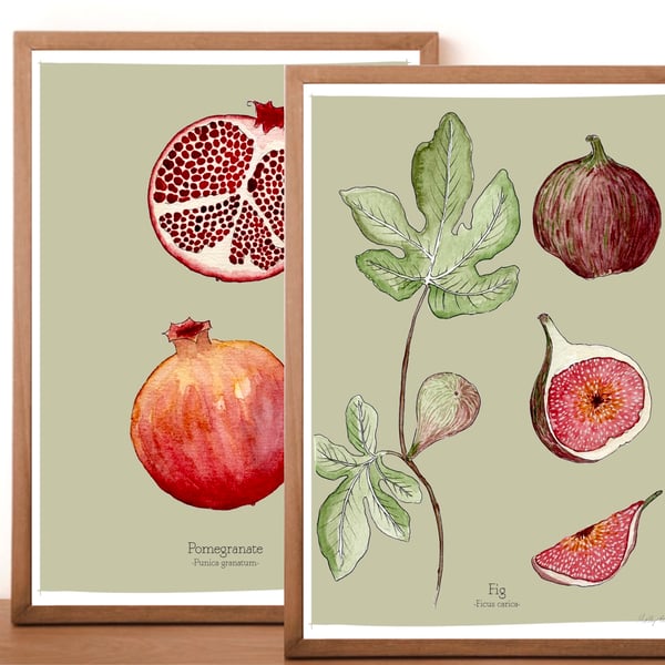 Image of Fruit Prints