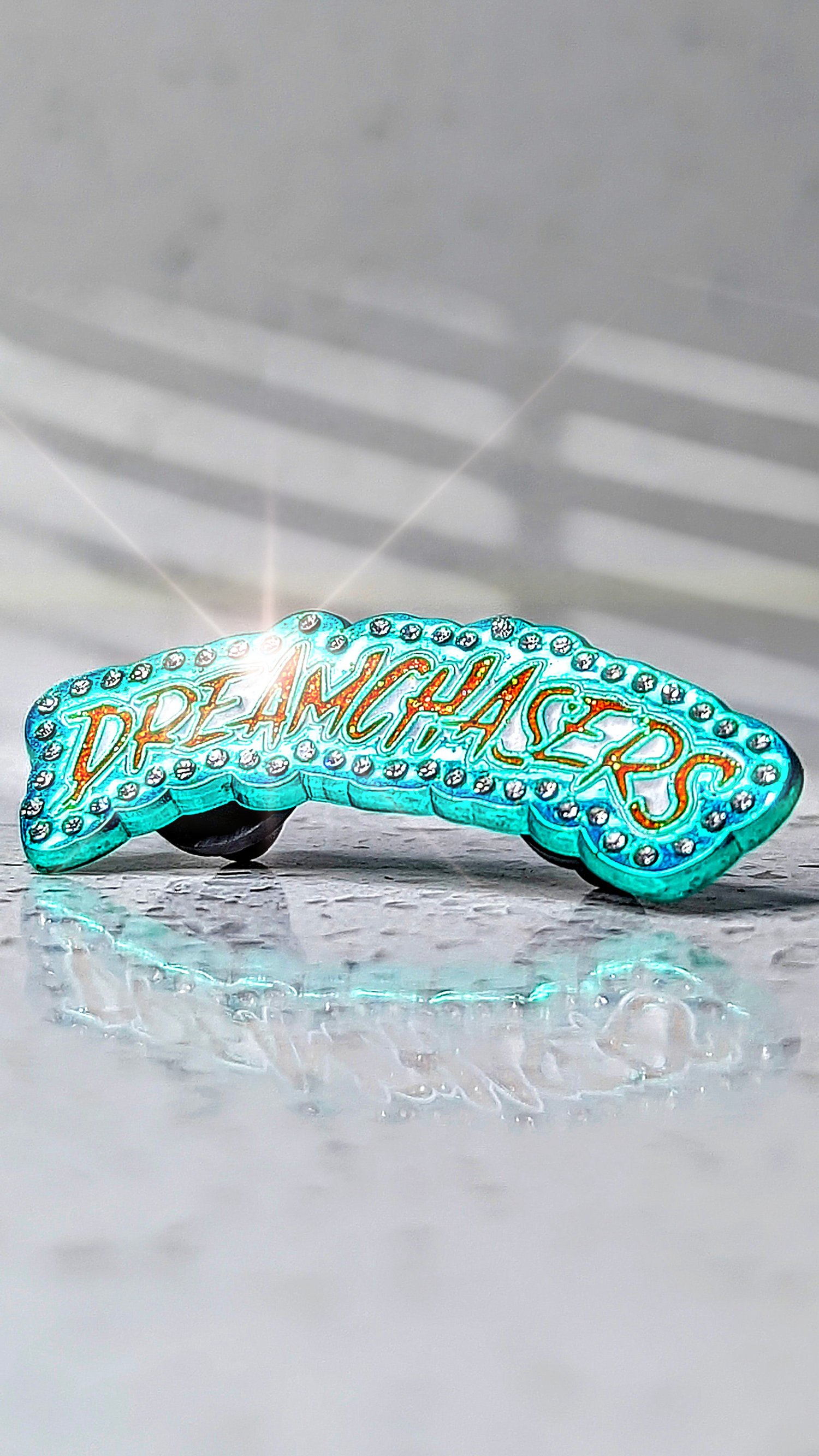 Image of DREAMCHASERS (Dolphins)