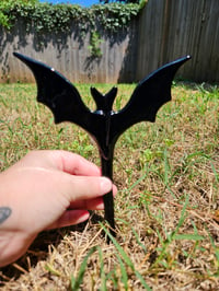 Image of Bat Plant Friend