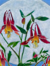 Columbine 