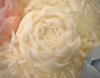 Image 3 of Snug and Bloom trio set