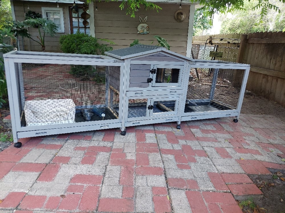 Image of Large hutch 