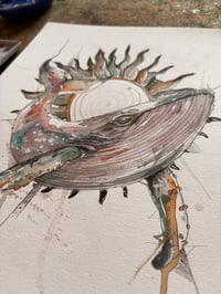 Image 2 of Baleine Solaire 