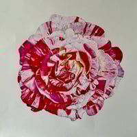 Image 2 of Scentimantal Rose 