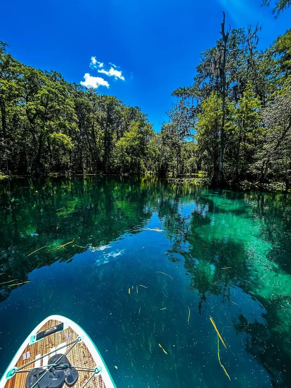 Image of Kayak Rentals  / Tour guide 🛶