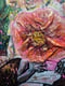 Image of Riot of Color