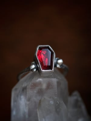 Image of NOSFERATU : MINI RING 