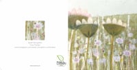 Image 3 of ‘Cow Parsley’ card