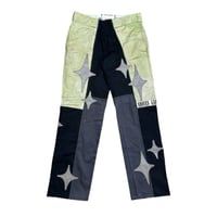 Image 1 of 101. STARS & GARDENS