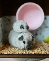 Pipe cleaner miniature guinea pigs with their magnetic wooden display