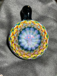 Image 7 of rainforest rainbow 