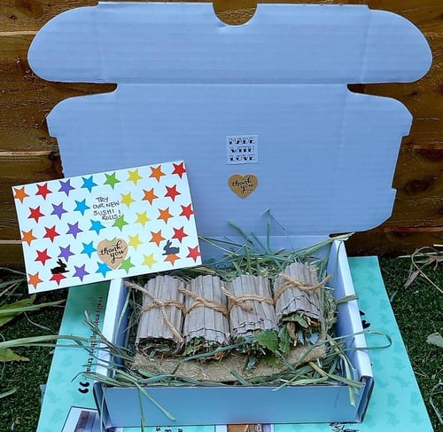 Image of Sushi forage roll box (‘FAKEAWAY’ RANGE)