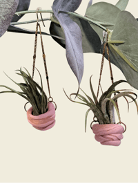 Image 1 of Airplant Earrings
