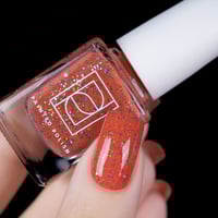 Image 6 of Fish You Were Here