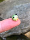 Teeny Rain Frog