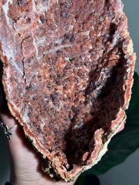 Image 6 of XL PINK CHALCEDONY GEODE -MOROCCO- A