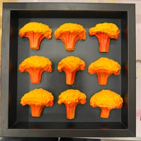 Blonde 9 Broccolis