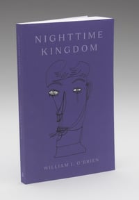 Image 2 of Nighttime Kingdom Soft Cover Book Releases May 10th!