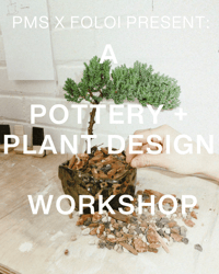 Image 7 of PMS X FOLOI: POTTERY +  PLANT DESIGN  WORKSHOP