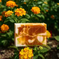 Phresh Face Acne Bar** 