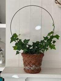 Image 1 of Topiary Trainer