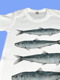 Image 2 of Body SARDINE