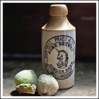 Image 1 of Antique Ginger Beer bottle