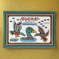 Ducks Flash Sheet