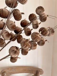 Image 2 of SALE! Luxury Pumpkin Stems ( 4 options )