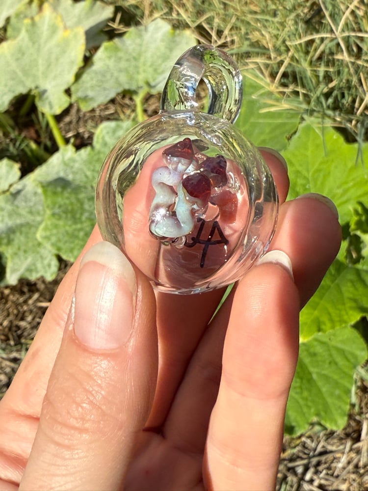 Image of Mushroom Micro Encapsulations