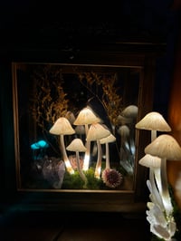 Image 3 of Mushroom lantern led