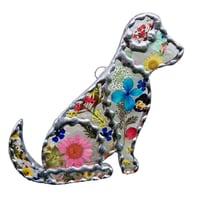 Real Flower Dog