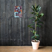 Image 1 of Bite the Hand