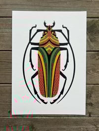 Bug 1