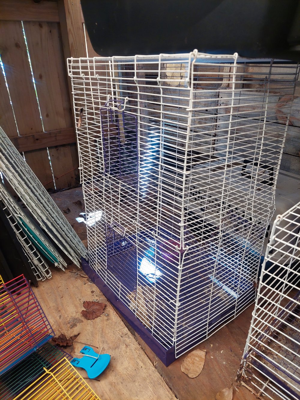 Image of Cage Sale 1