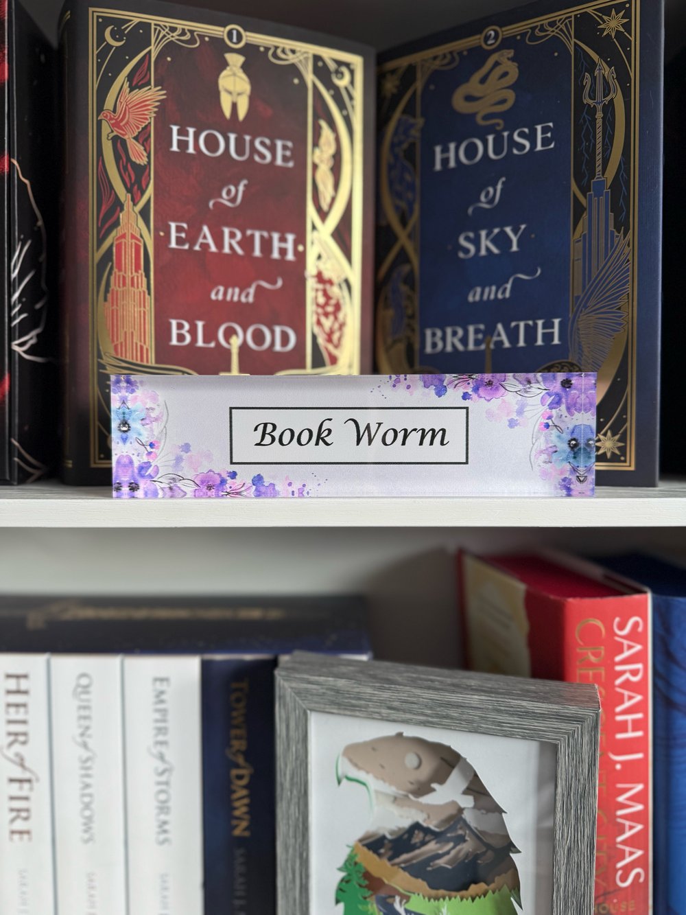 Image of Book Worm/ Book Dragon Library Shelf Sign