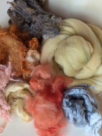 Image 4 of Regal Moth Inspired Fiber Kit For Blending, Carding, Spinning, Felting