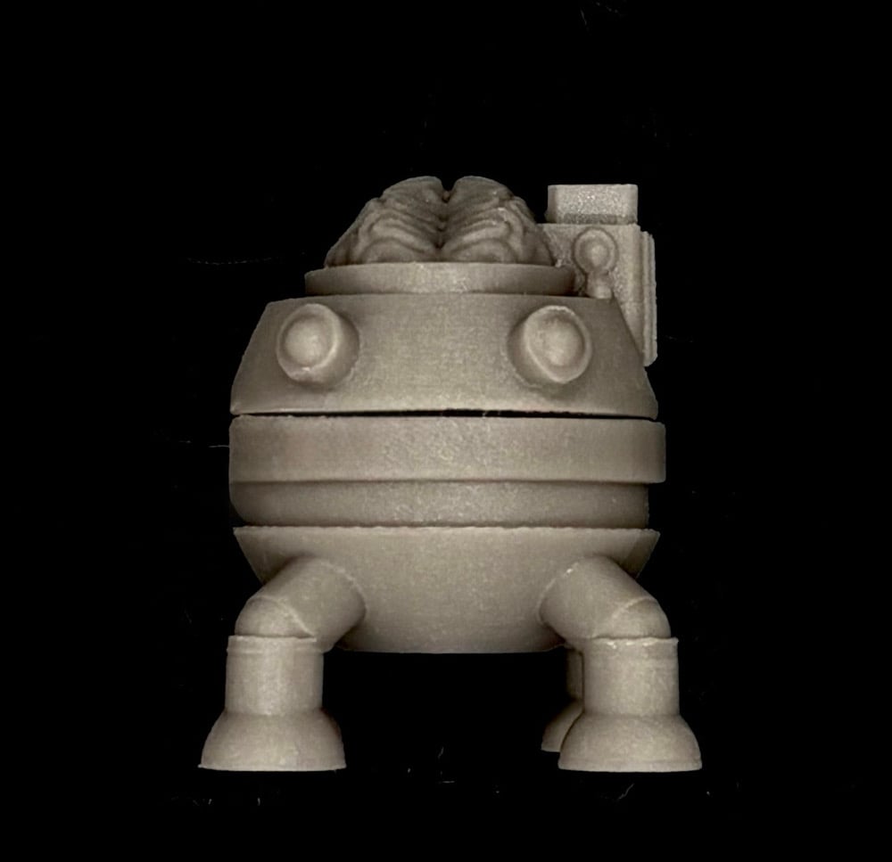 Image of Brain Pan (TURDs) Random Draw