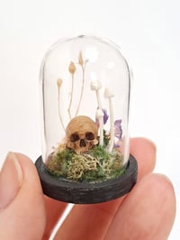 Image 5 of Miniature Skull and Mushroom Domes