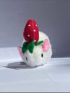 Rat Berry 