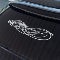 SCRIPT BANNER