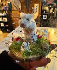 Image 4 of Taxidermy for Beginners Class - Thurs 13th Nov  5.30-10pm