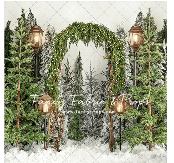 Image of SATURDAY 23rd - Christmas Mini Sessions 2024