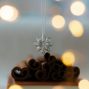 Image of Star Anise Pendant