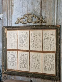 Image 1 of Les planches botaniques de 1837 série 1 (à l'unité)